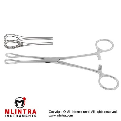 Foerster Sponge Holding Forcep Straight Stainless Steel, 18 cm - 7"